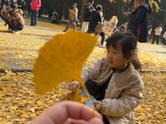 -蓝莓果幼儿园(通州梨园店)