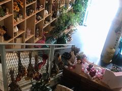 -Kitchen·Y洋厨房西餐厅(王府壹号店)