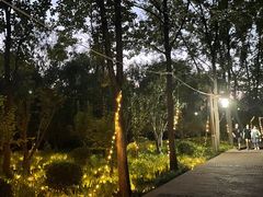 -洛阳市隋唐城遗址植物园