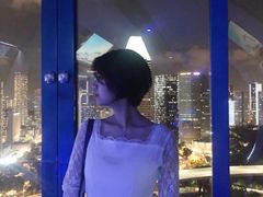 -新加坡摩天观景轮