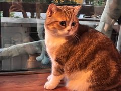 -咖法森林·咖啡  酒吧(天河店)