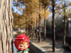 -白水寺森林公园
