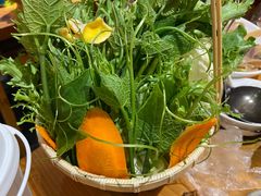 -野山舂·贵州现舂酸汤火锅(鸿通城店)