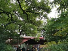 -吴山景区
