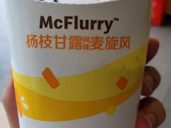 -麦当劳(金稻田路餐)