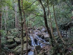-姑婆山旅游区