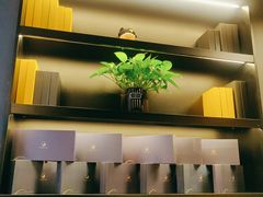 -梵猫·新养生(加州广场店)