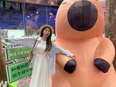 -正佳雨林生态植物园