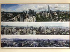 -南山图书馆(常兴路店)