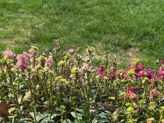 -一尺花园(安和花园店)