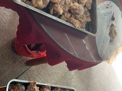 -周肥肠(江油总店)
