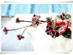 -万达影城(凯旋城广场XLAND店)