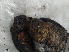 -叶氏麻糍(鼓浪屿店)