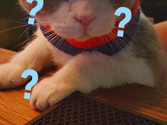 -后院儿·精酿·塔罗Happy Bar