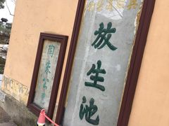 -范蠡湖公园