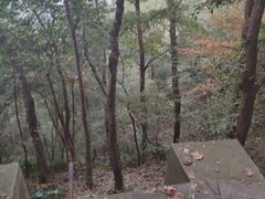 -紫金山山顶公园