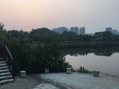 -大亚湾红树林城市湿地公园