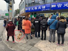 -宫廷糕点铺(双林中横路店)