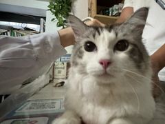 -宠颐生宠物医院·心肾内科·猫专科诊疗中心宠巢店