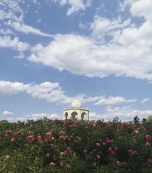 -萌宠亲子动物乐园(槐房万达店)