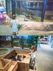 -酷嗒动物文化乐园(cutezoo西溪乐天城店)