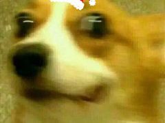 -霸王牛肉(龙湖U城店)