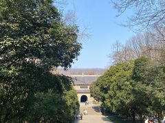 -灵谷景区