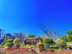 -新江湾城公园