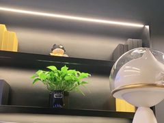 -梵猫·新养生(加州广场店)