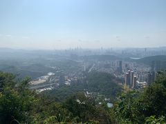 -梧桐山风景名胜区