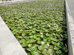 -尚贤河湿地