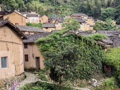 -杨家堂村