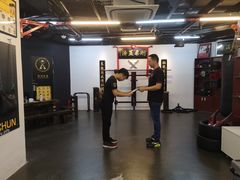 -温鉴良实用咏春拳