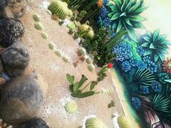 -海市蜃楼花园主题餐厅(石顶店)