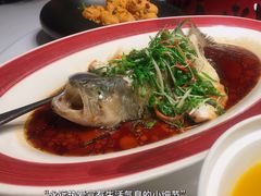 -院里寻菜·精致庭院菜(观沙岭店)