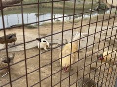 -河北村民俗体验园