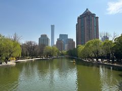 -团结湖公园