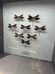 -酷嗒动物文化乐园(cutezoo西溪乐天城店)