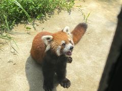 -杭州野生动物世界