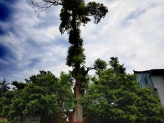 -寨沙侗寨(侗族歌堂)