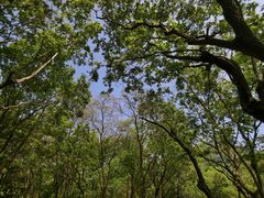 -西湖风景区-江洋畈生态公园