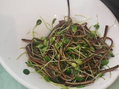 -红栌温泉山庄生态美食餐厅