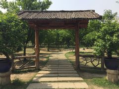 -秀丽东方