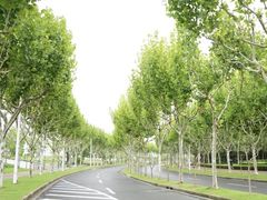 -上海山野camping·户外天幕烧烤·团建拓展营地