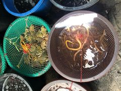 -瓦洛洛传统市场