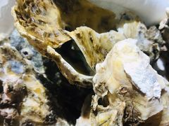 清蒸生蚝-全渔村小海鲜