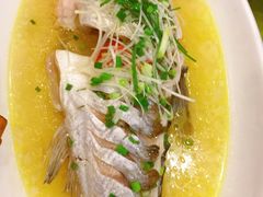清蒸白鱼-百岁鱼庄·常州老字号(湖塘店)