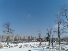 -洋湖国家湿地公园
