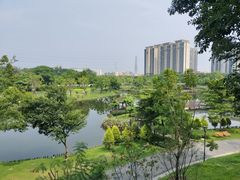 -王借岗森林公园