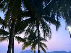 -日落吧·海景咖啡厅·餐酒吧·鸡尾酒·下午茶·乐队表演·浪漫夕阳·三亚文华东方酒店